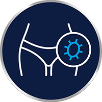 A gomba a meleg, nedves környezetet kedveli, ilyen például a lágyék területe is.