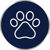 A gombás bőrfertőzést fertőzött állatokkal, például kutyákkal, macskákkal, lovakkal vagy tehenekkel való érintkezés útján is megkaphatja .